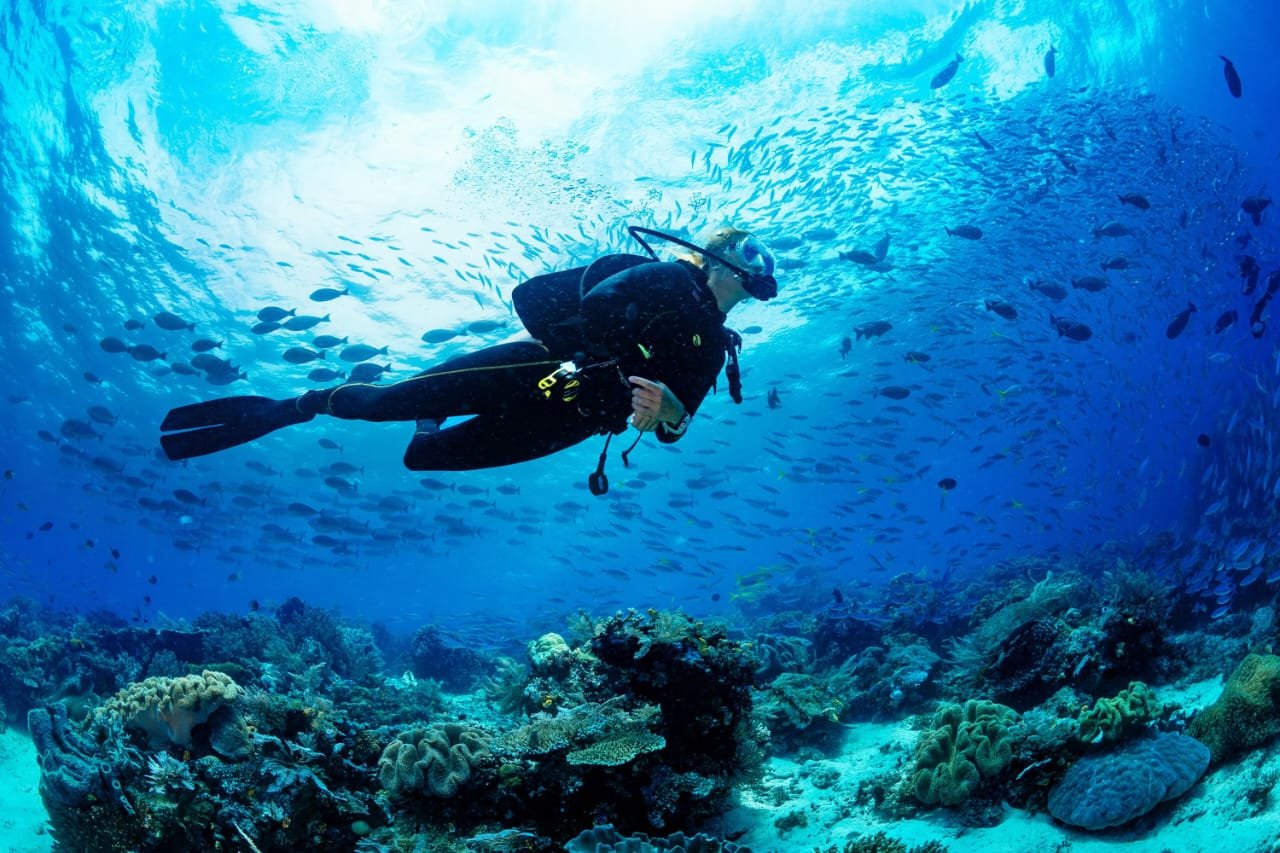 Scuba Diving in Gokarna: Explore the Underwater Wonders